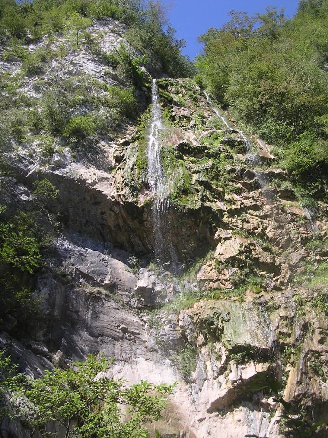 Bosco Delle Rune ..Un Angolo Di Paradiso Platischis Экстерьер фото