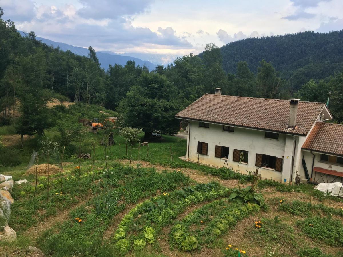 Bosco Delle Rune ..Un Angolo Di Paradiso Platischis Экстерьер фото