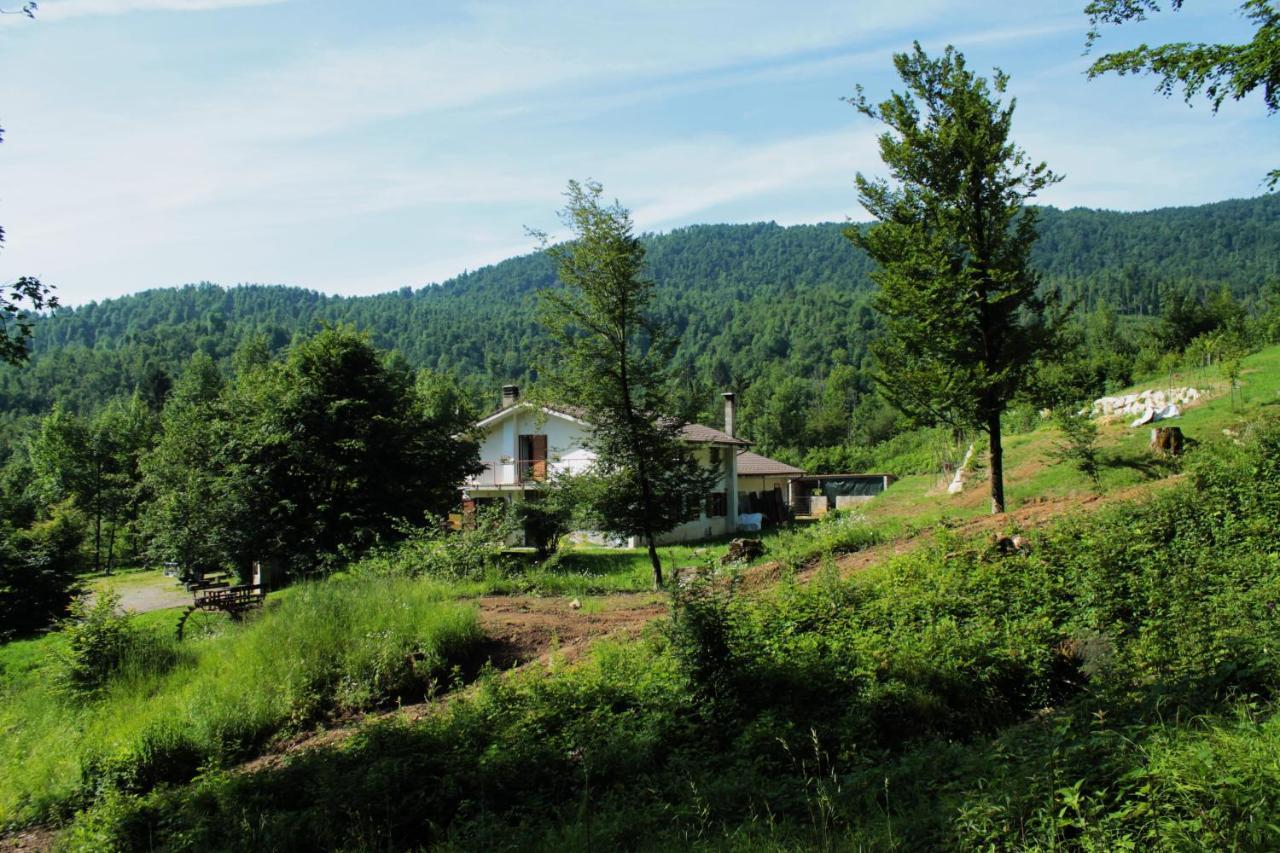 Bosco Delle Rune ..Un Angolo Di Paradiso Platischis Экстерьер фото